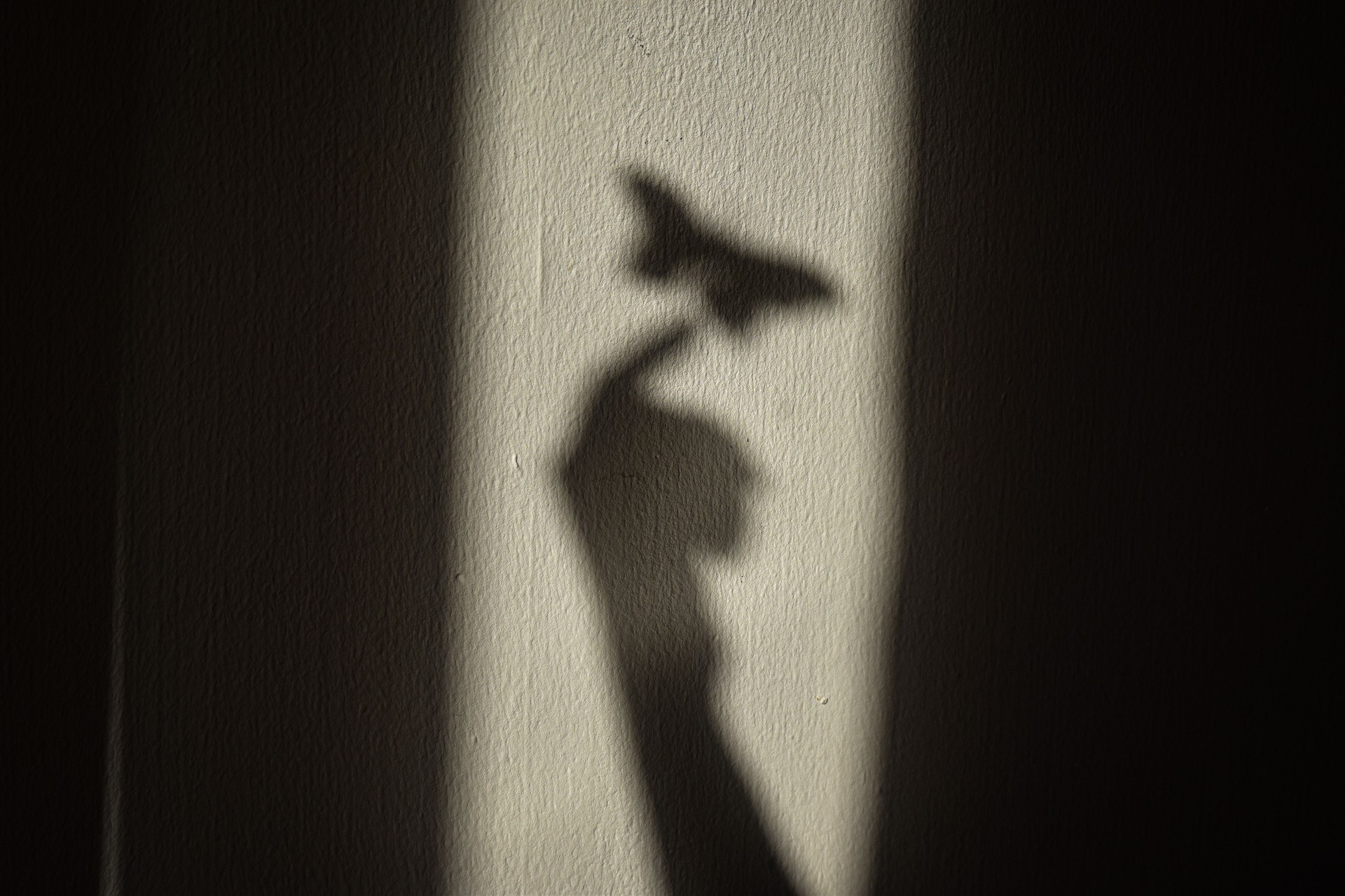 Hand shadow